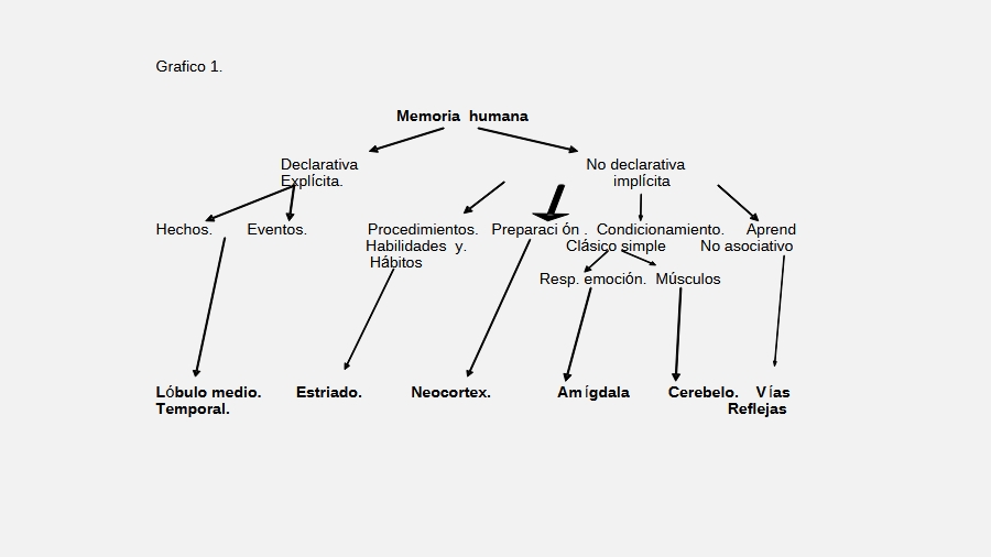 memoria aprendizaje y salud mental slide6
